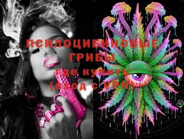 Альфа ПВП Нея