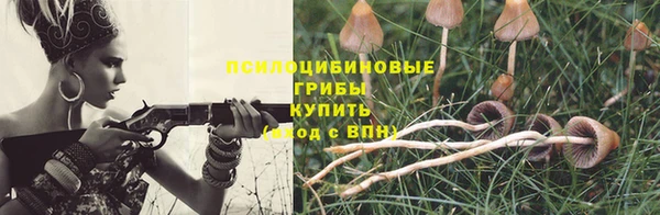 apvp Нефтегорск