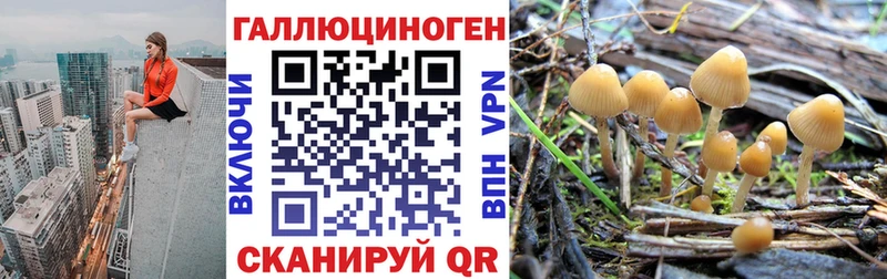 Купить закладки  Яровое  Галлюциногенные грибы Psilocybine cubensis 